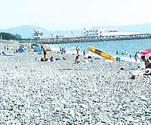 千本浜海水浴場