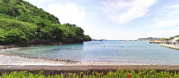 前浜　母島